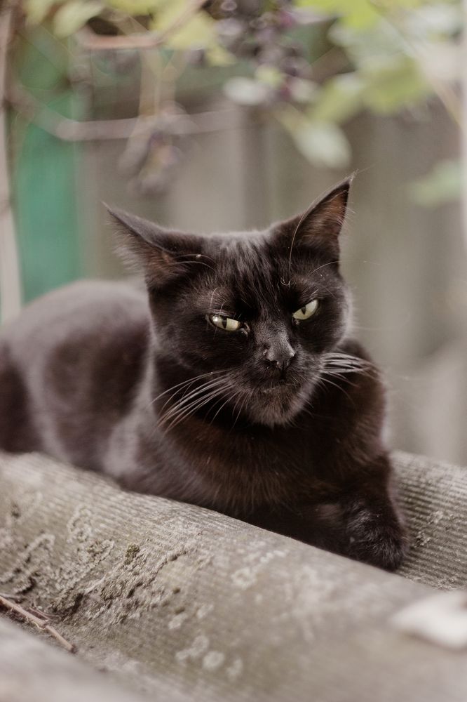 Photograph by Екатерина Ходус