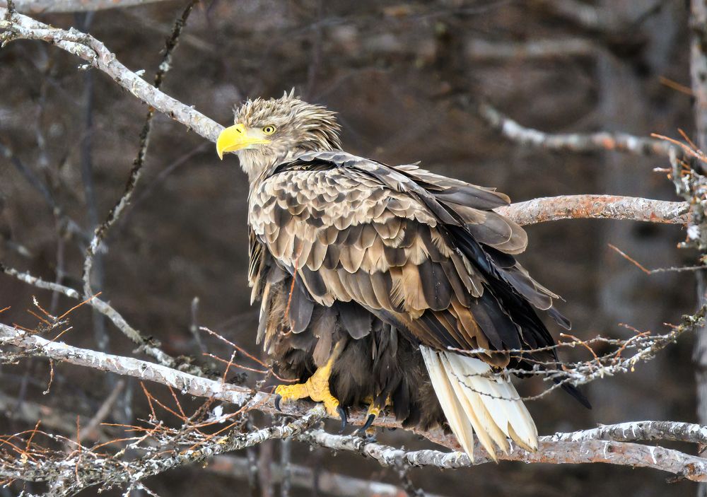 Photograph by Андрей Захаров