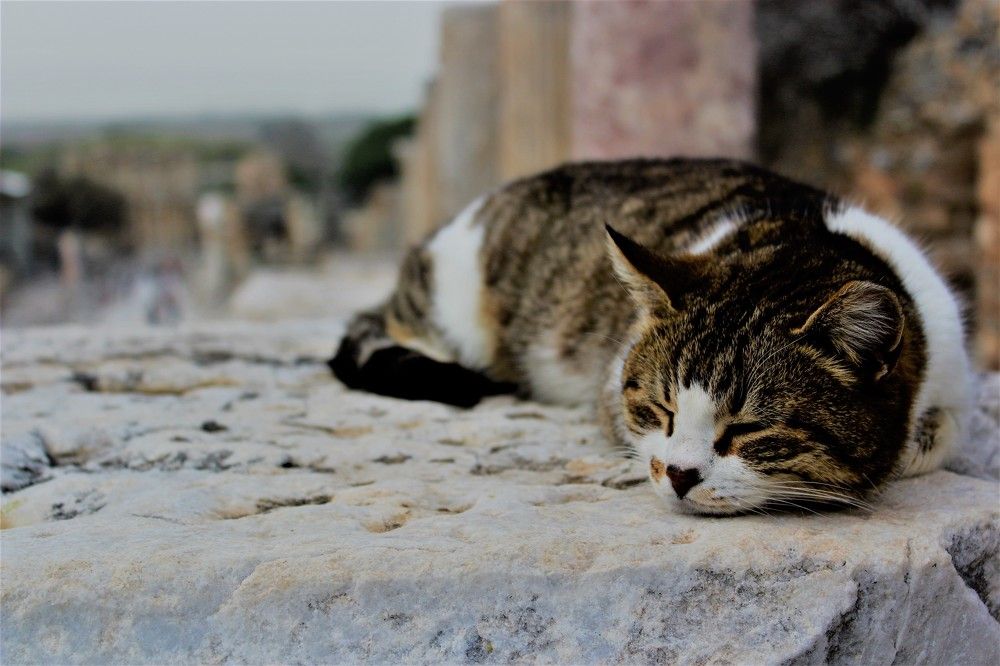 Photograph by Oleg Guchgeldiev