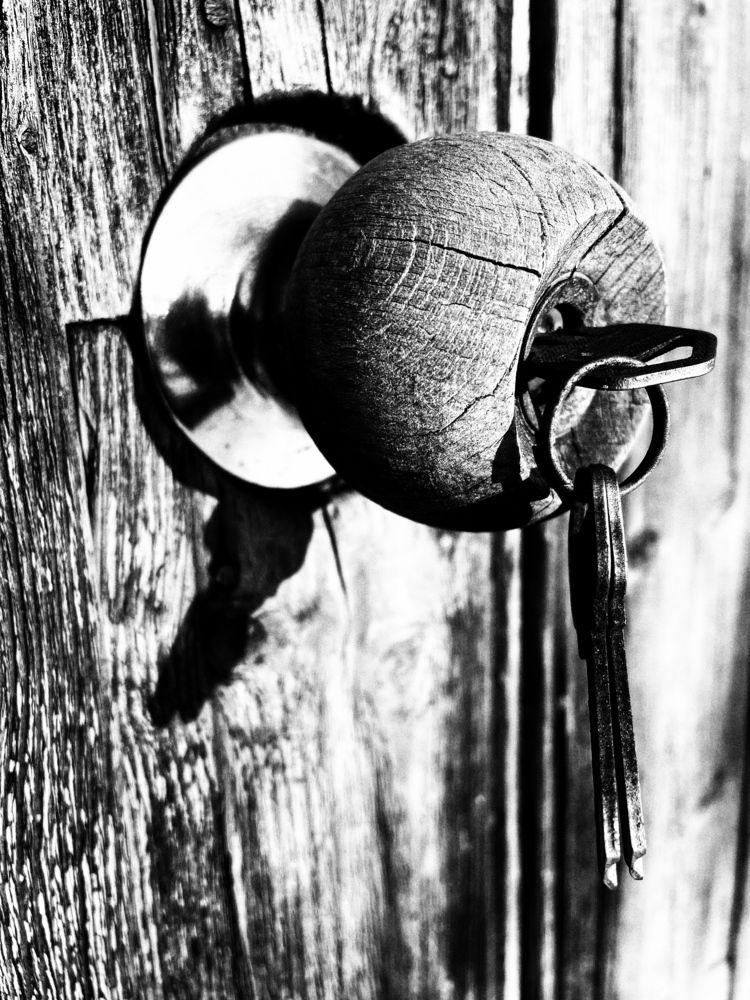 Фотография автора Рамзия Хисамутдинова