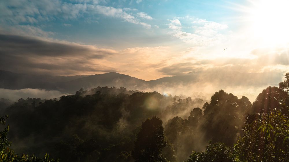 Photograph by Lee kar kit