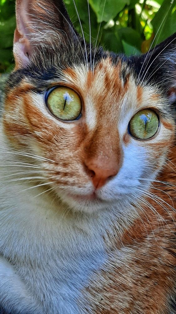 Photograph by Татьяна Григорчук