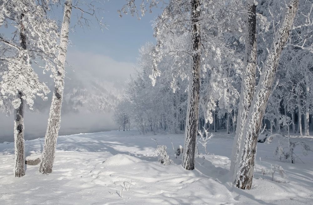 Прогулка по зимнему лесу