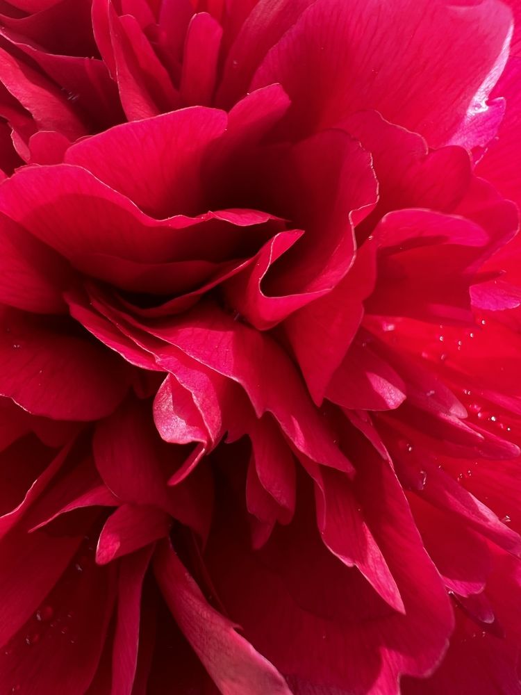 Photograph by Мария