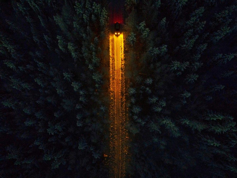 Photograph by Анна Калабина