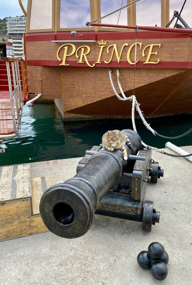 Photograph by Анна Лепихина