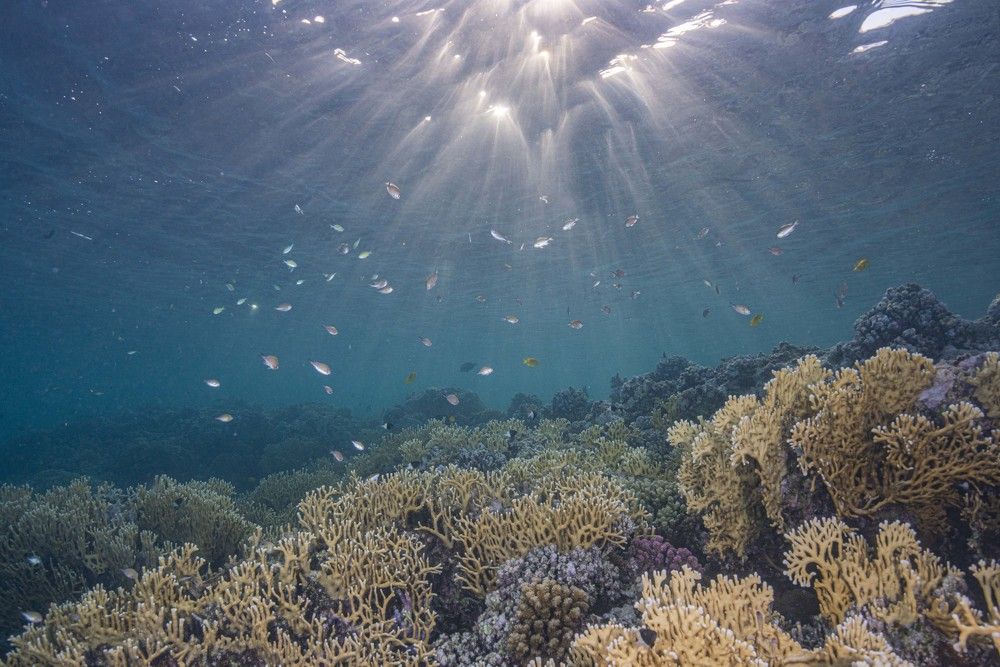 Photograph by Francis Glassup