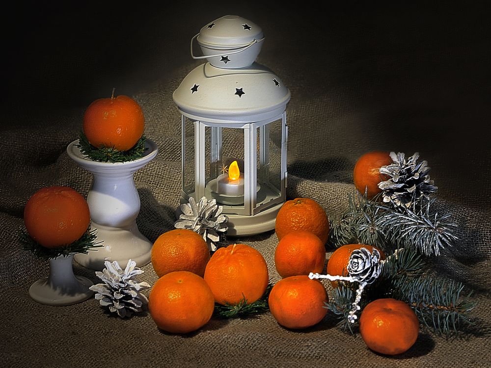 Photograph by Ольга Заболотская