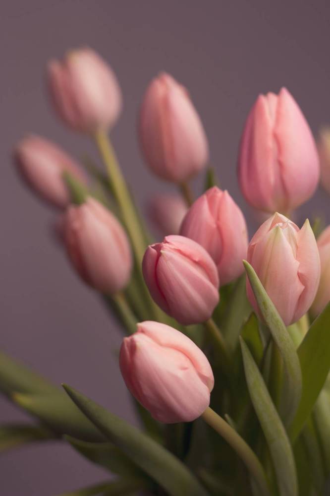 Photograph by Natalia Everatt