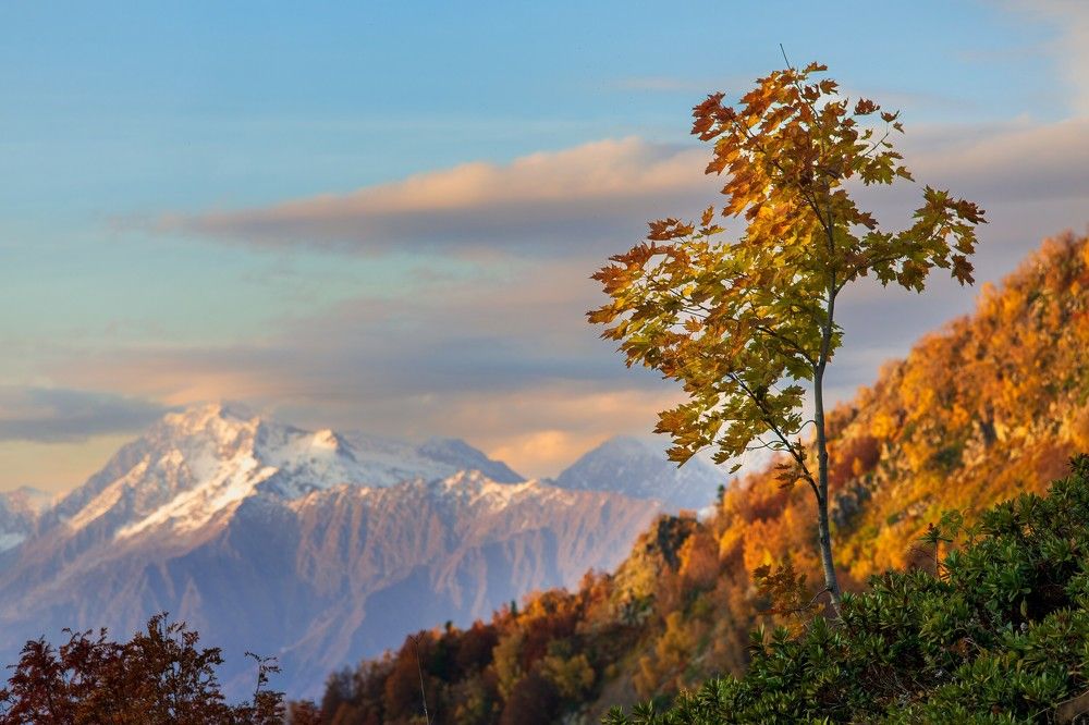 Photograph by Ольга