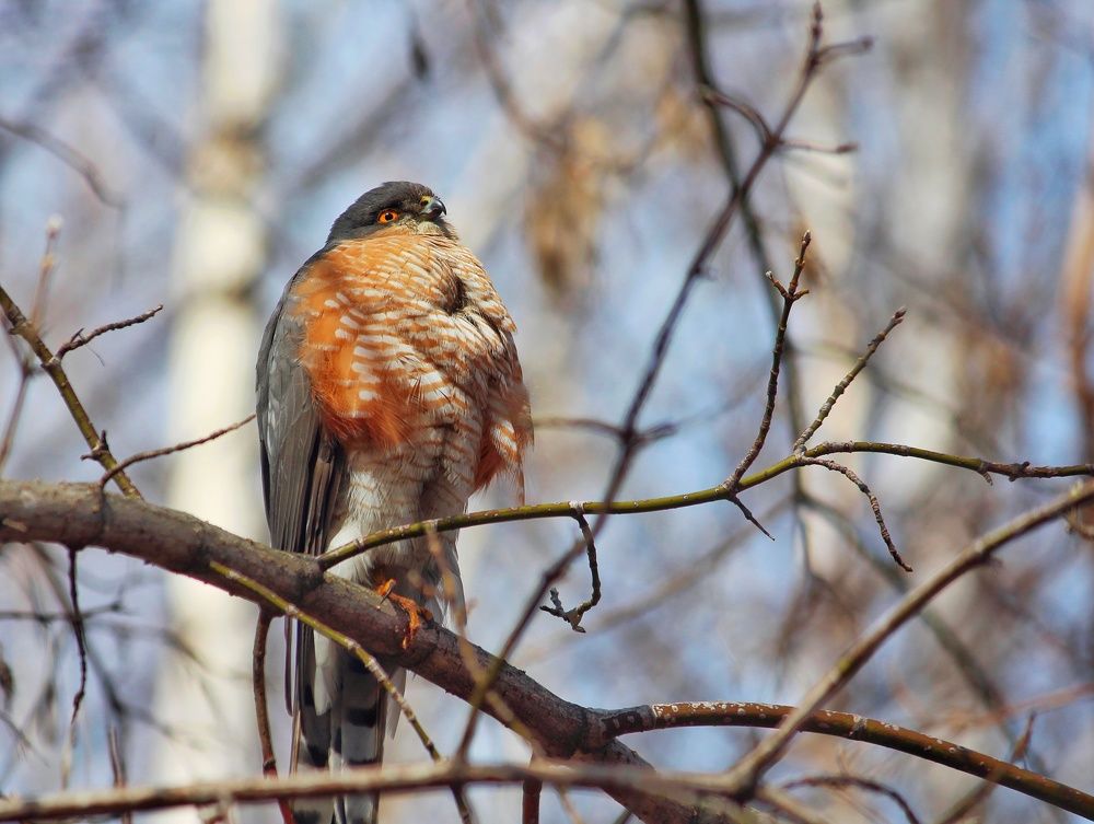 Photograph by Юлия Серазетдинова
