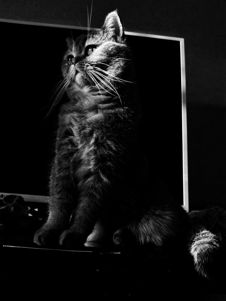 Photograph by Ольга Щербакова