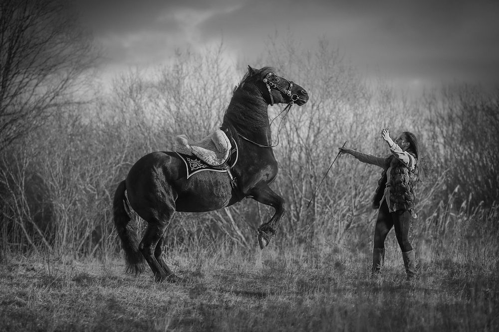 Photograph by Алина Жук