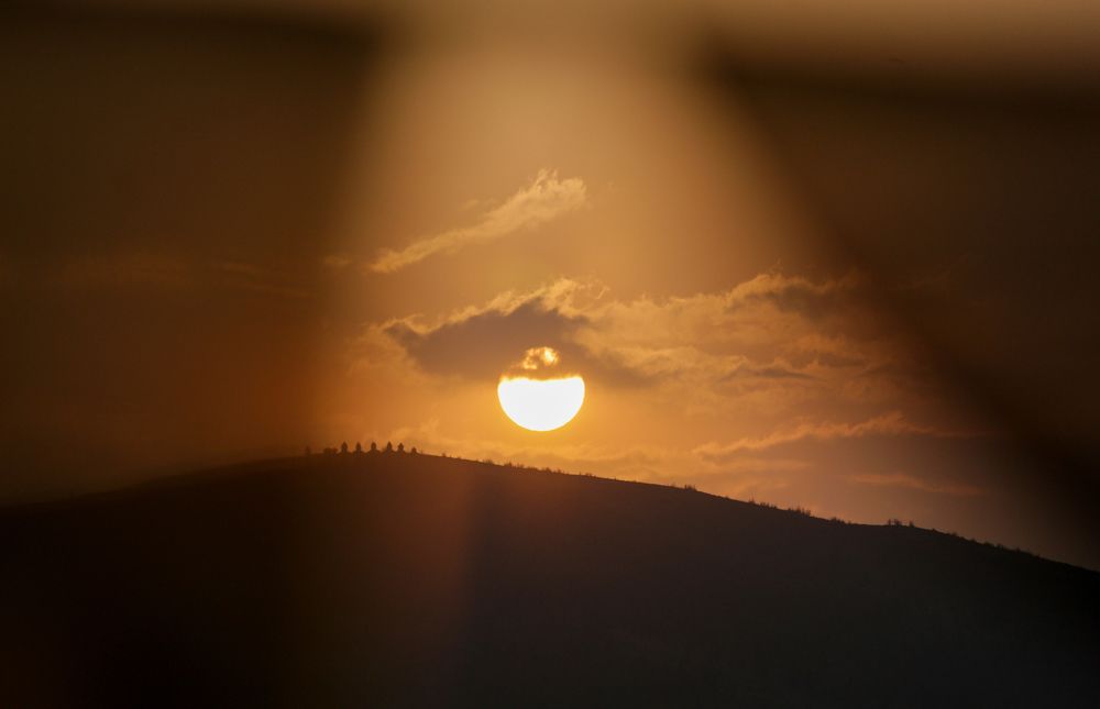 Photograph by Subhomoy Ghosh
