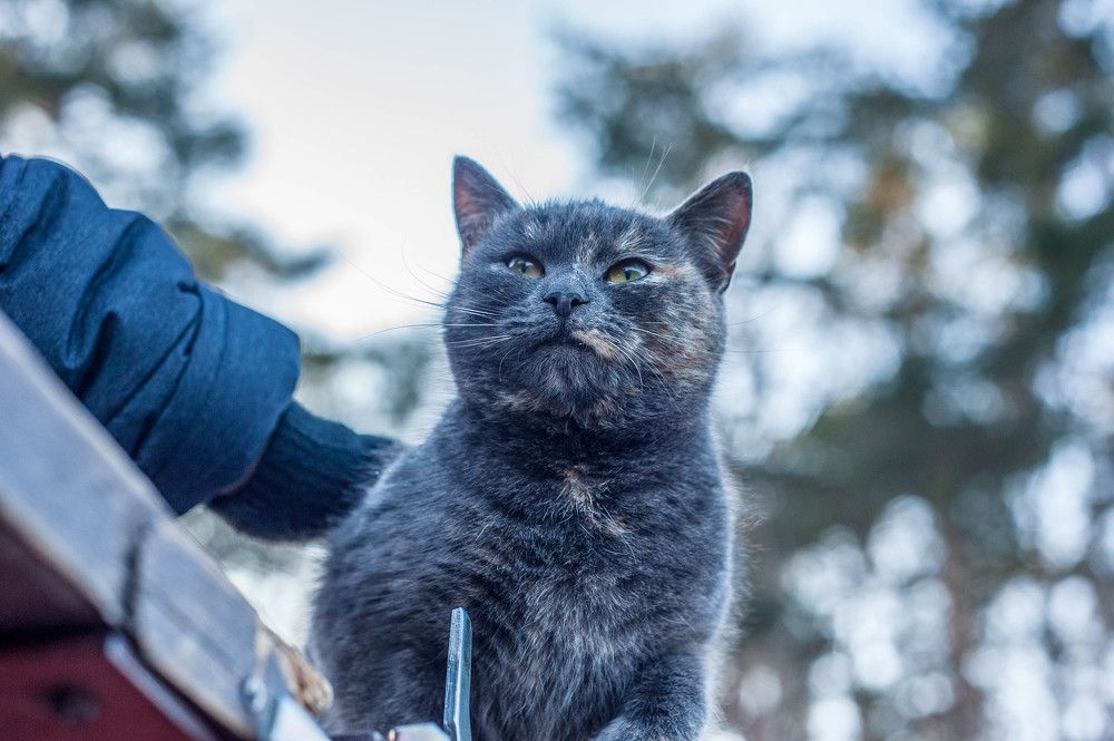 Photograph by Александр Леонов