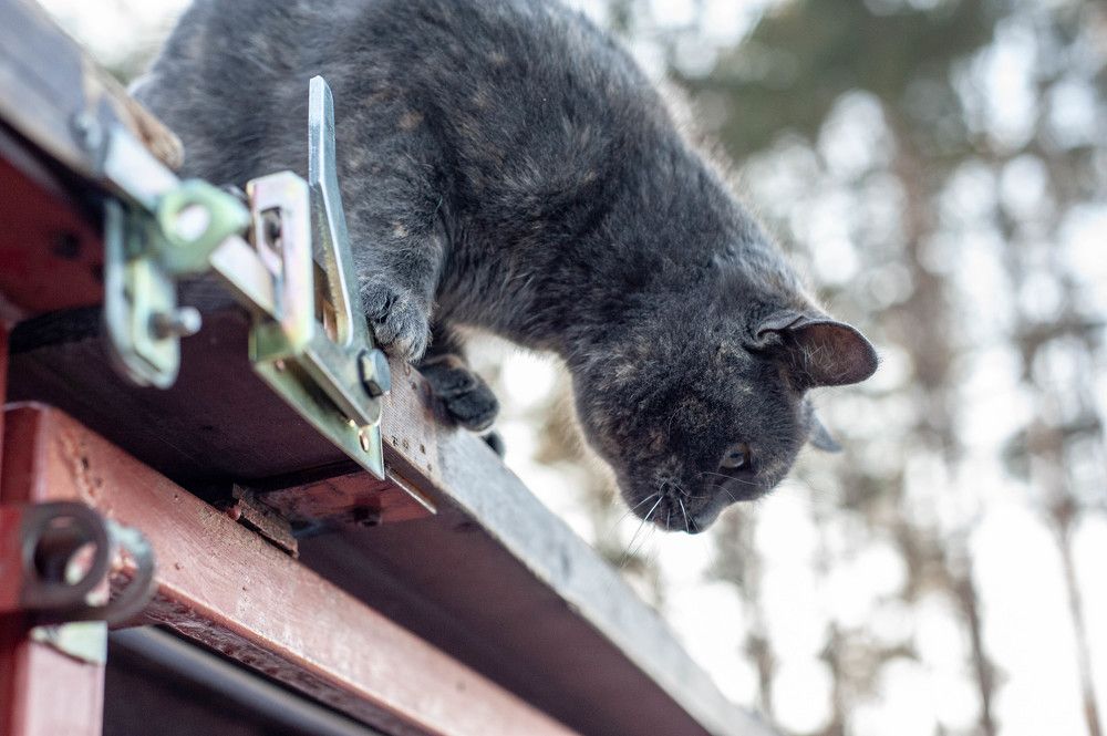 Photograph by Александр Леонов