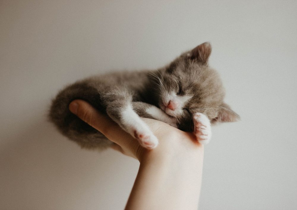 Photograph by Елена Чучумакова