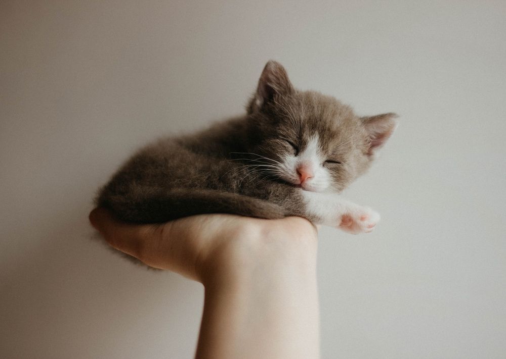 Photograph by Елена Чучумакова