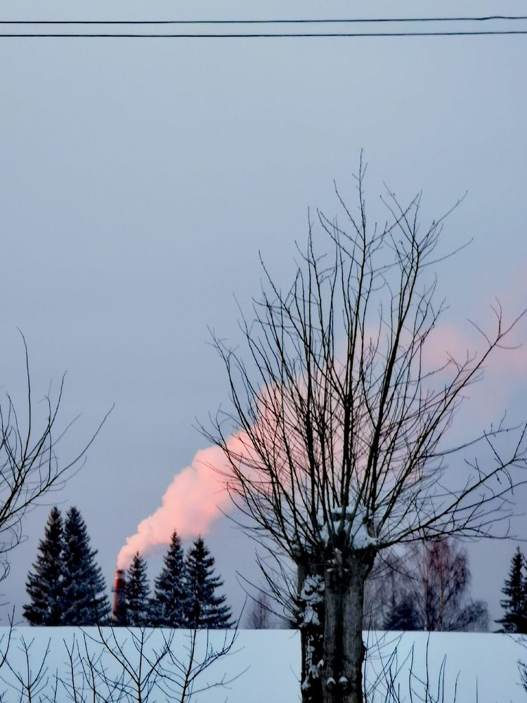 Фотография автора Андрей Богданов
