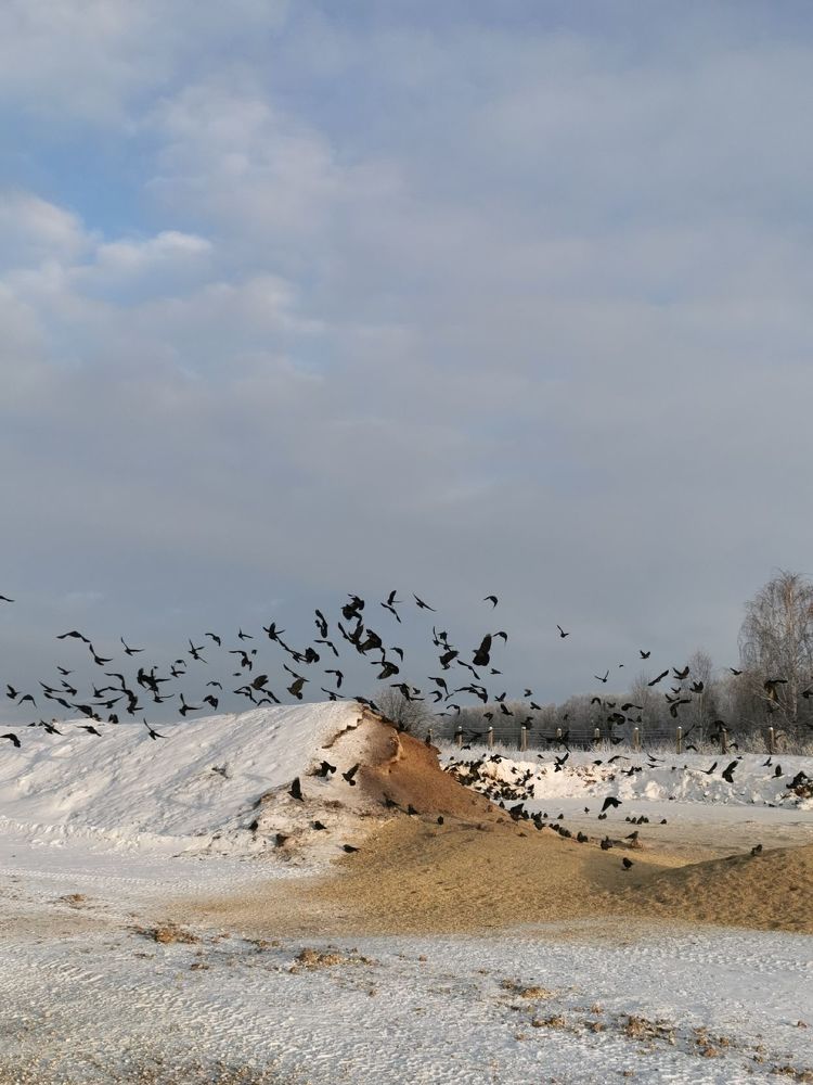 Фотография автора Андрей Богданов