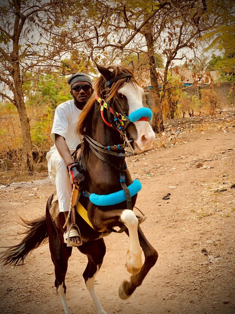 Фотография автора Astroh