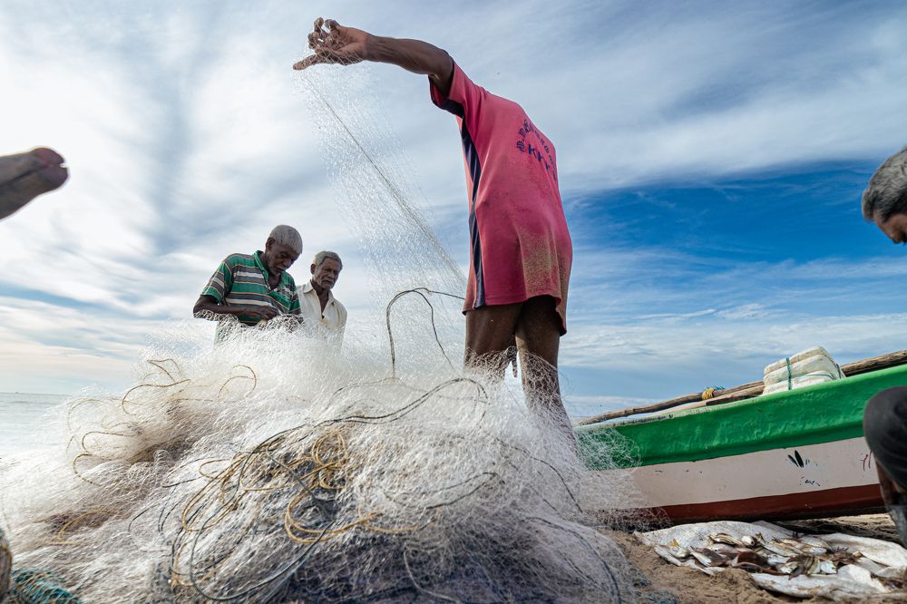 Photograph by Sam Moses