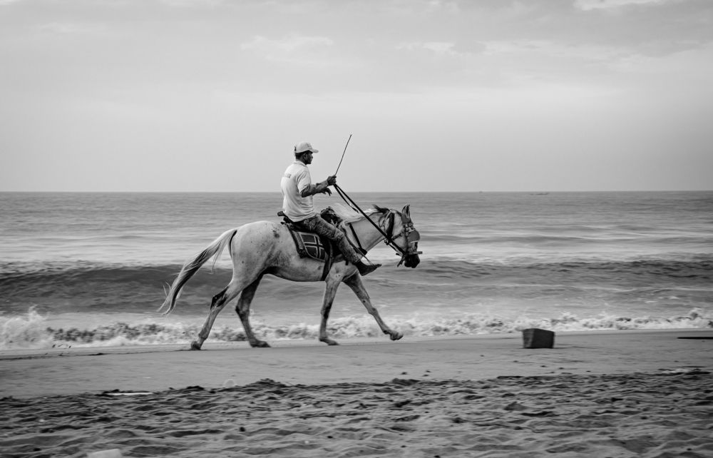 Photograph by Sam Moses