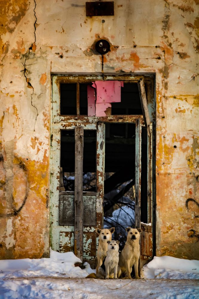 Photograph by Олеся