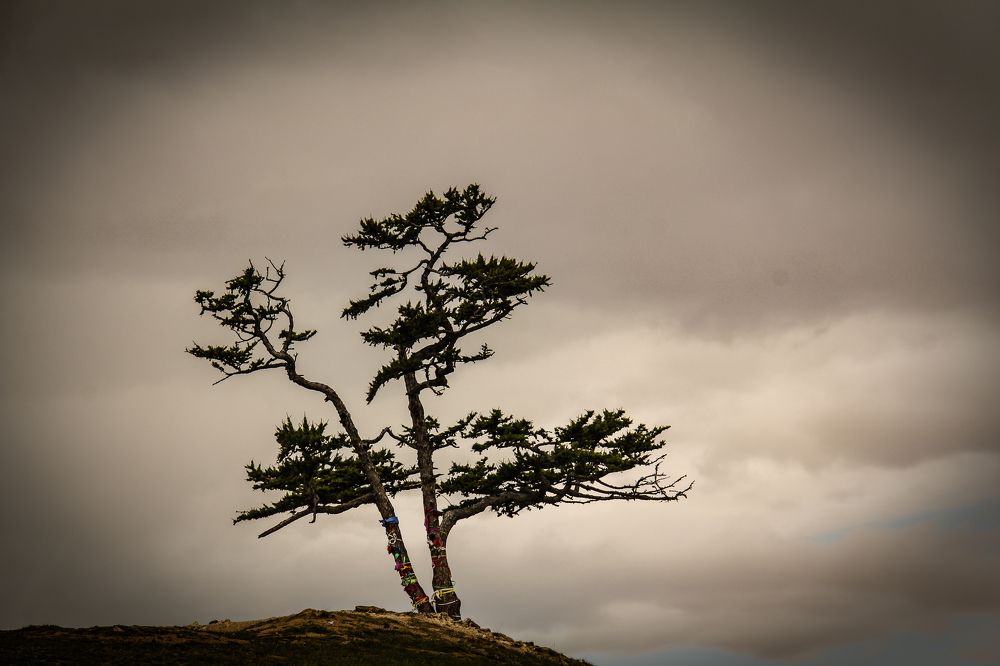 Photograph by Ольга Мурашева