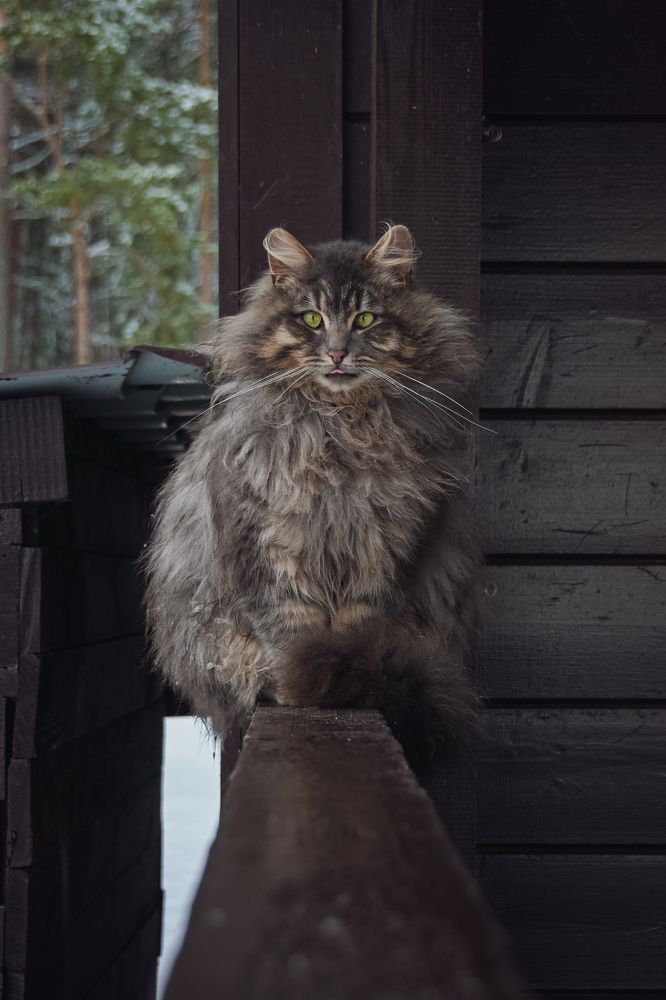 Photograph by Светлана Игнатьева