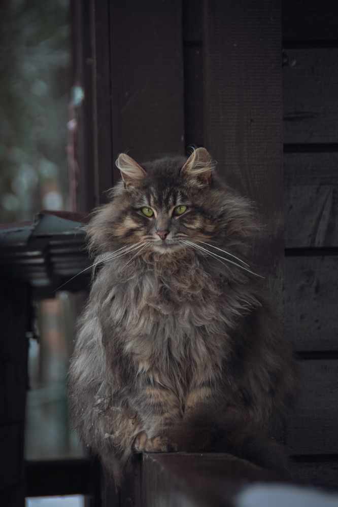 Photograph by Светлана Игнатьева