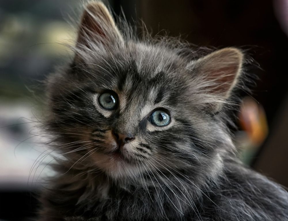 Photograph by Владимир Архипов