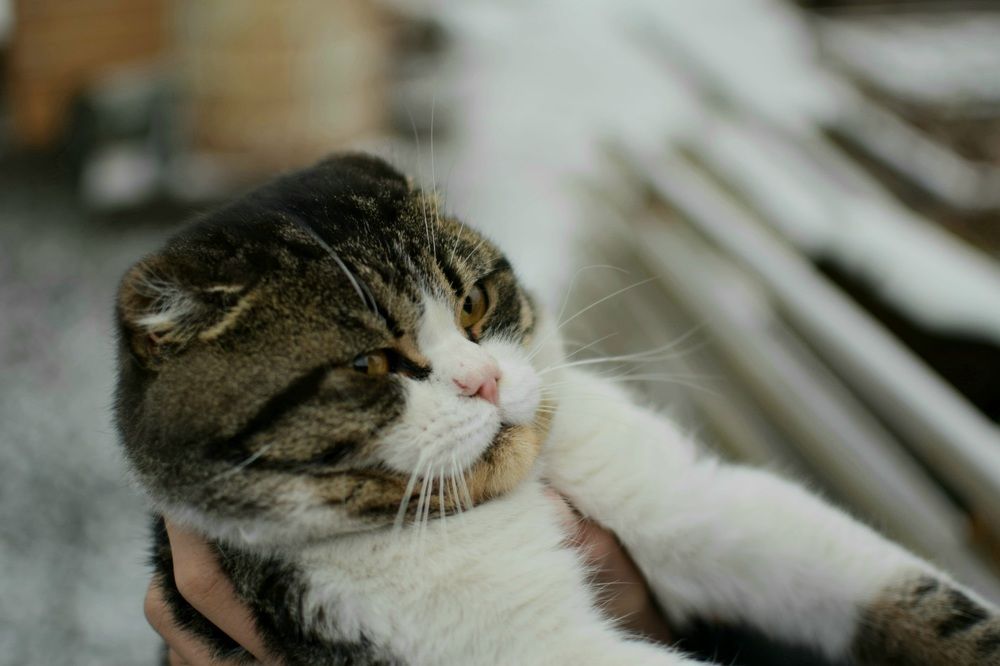 Photograph by Анна Киселева