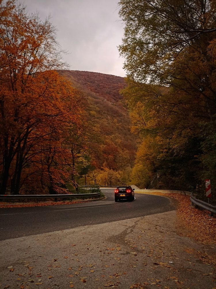 Photo #8761899