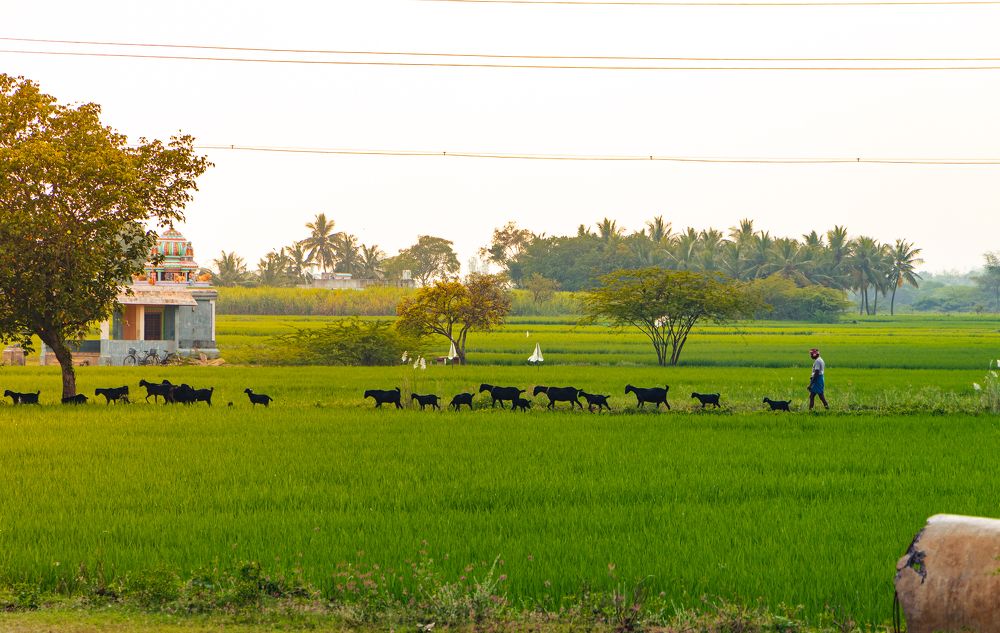 Photograph by Sam Moses