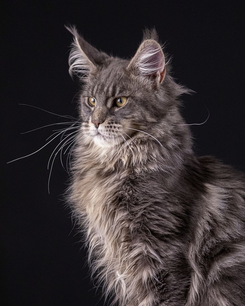 Photograph by Ольга Евграфова