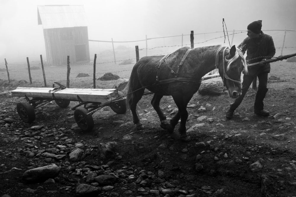 Photograph by Tudor Ghioc