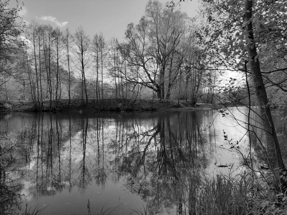 Photograph by Татьяна Новик