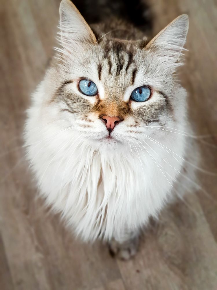 Фотография автора Volha Sidarenka