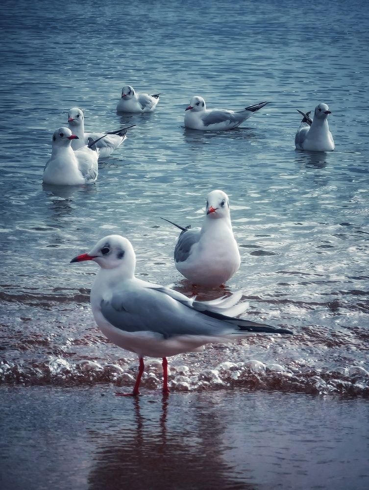 Photograph by Мария Цепилова