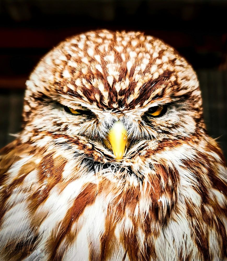 Photograph by Мария Цепилова