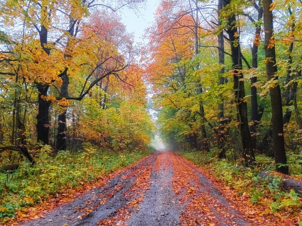 Photograph by Светлана Кондрашова