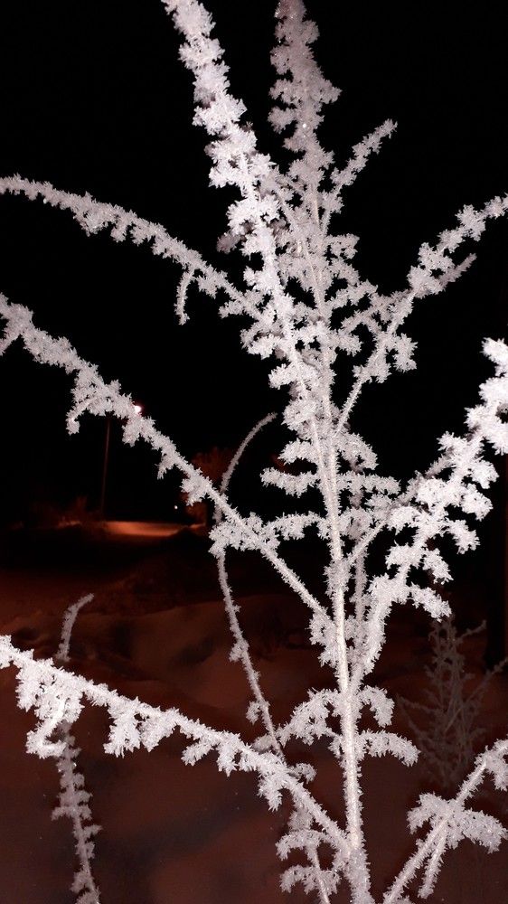 Photograph by  Татьяна Дорожко