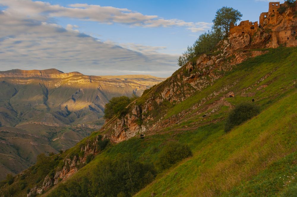 Photograph by Алёна Пшеленская