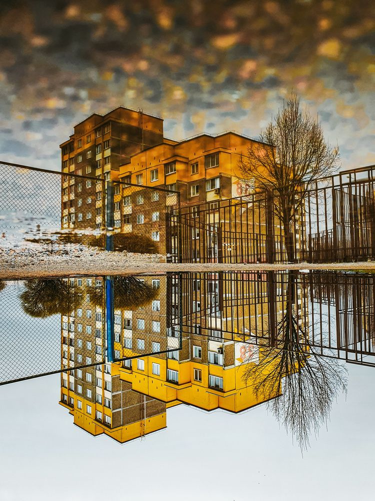 Фотография автора Volha Sidarenka