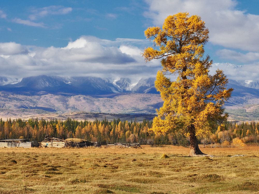 Photograph by Галина Хвостенко