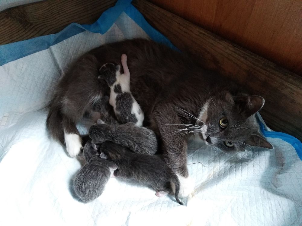 Photograph by Василина Курносова