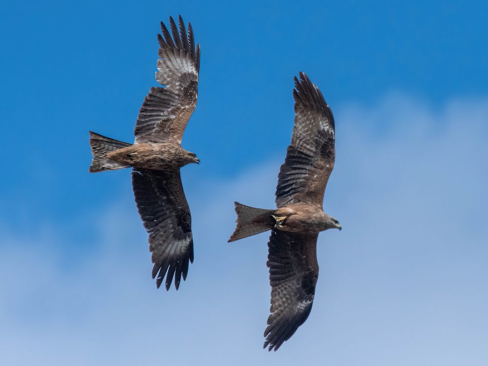 Фотография автора Калиногорский Юрий
