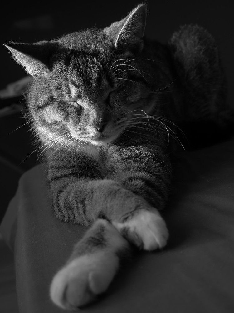 Photograph by Сапронова Евгения