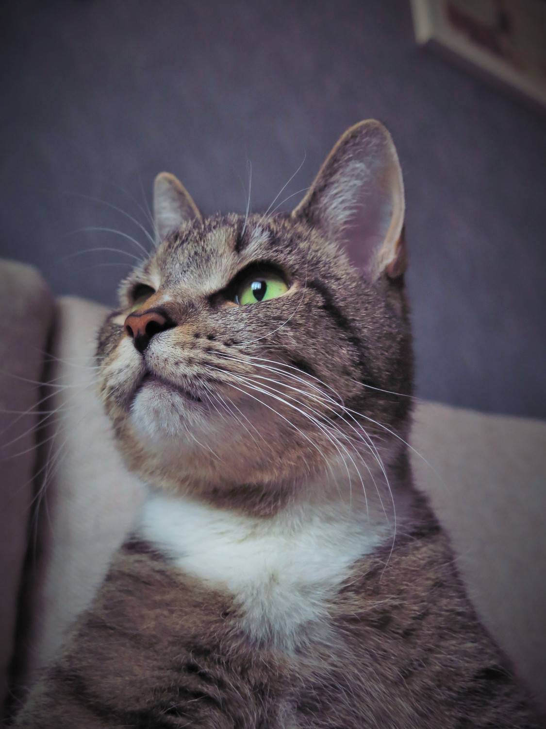 Photo #8762271
